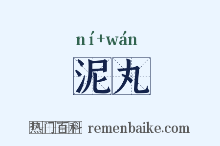 泥丸是什么意思的图片